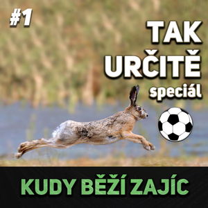 #1 KUDY BĚŽÍ ZAJÍC...