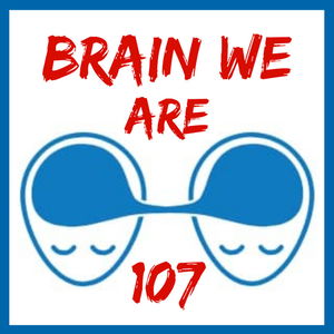 107: Mozková Randomshow - Neuroplasticita, Synestézie, Homunculus, Modulární teorie mysli a Bramborová hlava