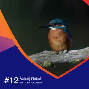 #12 Valerij Gabal, wildlife fotograf