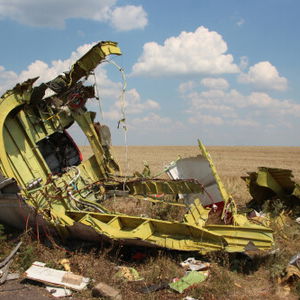 17. července: Den sestřelení letu MH17