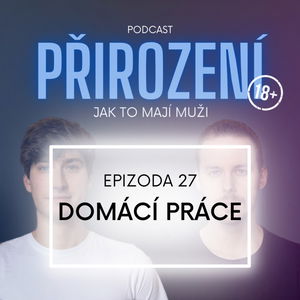 27 - Domácí práce