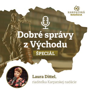 #29 Paradoxne o výzvach a problémoch v mimovládnom sektore