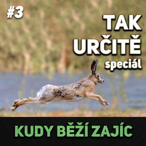 #3 - KUDY BĚŽÍ ZAJÍC - JAN PODROUŽEK