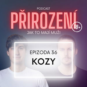 36 - Kozy