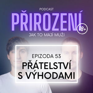 53 - Přátelství s výhodami