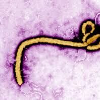 70. O Ebole a jej epidémii v Kongu
