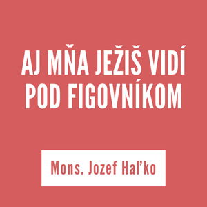 AJ MŇA JEŽIŠ VIDÍ POD FIGOVNÍKOM | Mons. Jozef Haľko