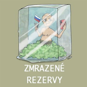 Ako ZMRAZIŤ ruské devízové rezervy? Ako dlho vydrží ruská centrálna banka? Čo viac môžeme urobiť?