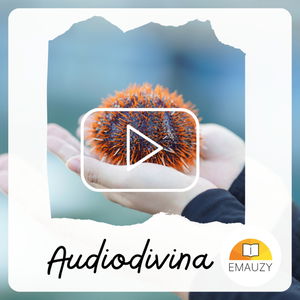 Audiodivina-Slovo, ktoré neomrzí počúvať