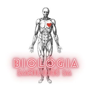 S3E1: DNA, RNA, ich podobnosti a rozdiely