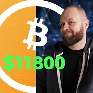 Bitcoin za $11 800 | BTC a monetární historie | Twitter scammeři dopadeni - CEx 07/08/2020