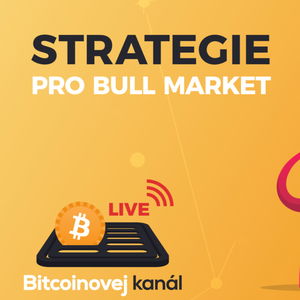 BK LIVE: Moje investiční strategie pro aktuální kryptoměnový bull market