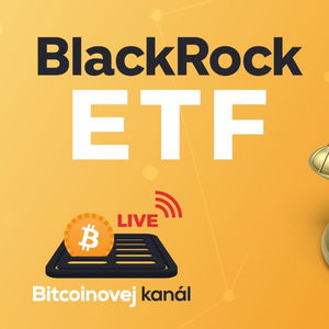 🔴BlackRock ETF - má šanci na schválení?