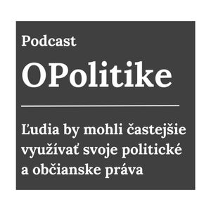 Bola by som rada, keby ľudia častejšie využívali svoje politické a občianske práva, tvrdí Lucia Lacika z Iniciatívy pre otvorené vládnutie