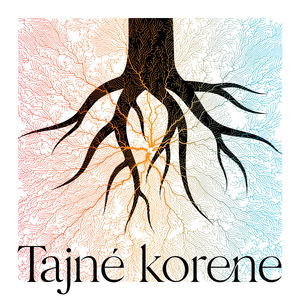 Bonus 1. Tajne Korene