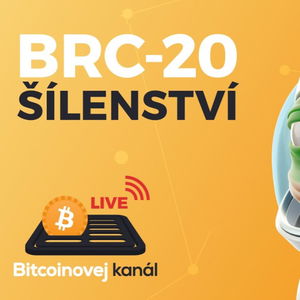 🔴BRC-20 šílenství aneb shitcoiny na Bitcoinu