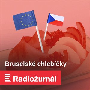 Česko přijme euro ze zoufalství, až mu nic jiného nezbyde, soudí ekonom Špicar