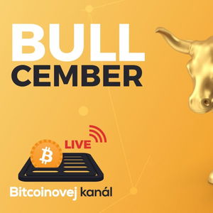 🔴BULLcember - Bitcoin do konce roku přes $100K?