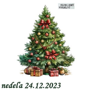 Cesta vzostupu 149 - 2023-12-24 Vianočná