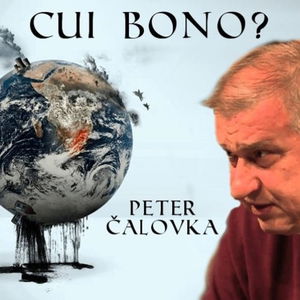 Cui Bono