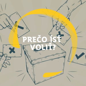 Diskusia SI #9: Prečo voliť