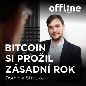 Dominik Stroukal: Bitcoin si prožil zásadní rok