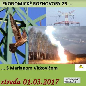 Ekonomické rozhovory 25 - 2017-03-01 Vysoké napätie v energetike a iné...