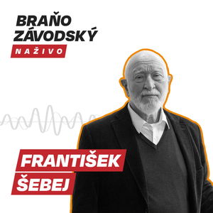 F. Šebej: Konflikt s Hamasom bude dlhý. Izrael musí prekonať tunely rozsiahle ako newyorské metro