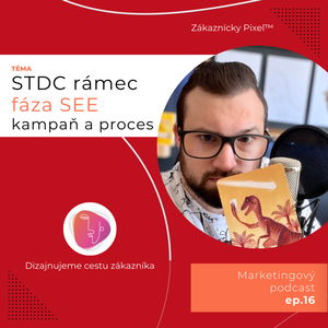 Fáza SEE s ukážkou kampane a procesu (STDC rámec) | Zákaznícky Pixel | ep.16