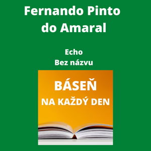 Fernando Pinto do Amaral - Echo + Bez názvu