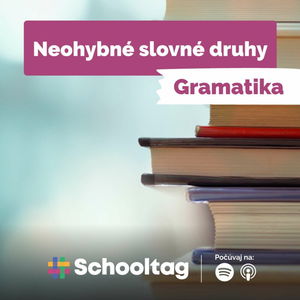 #Gramatika - Neohybné slovné druhy