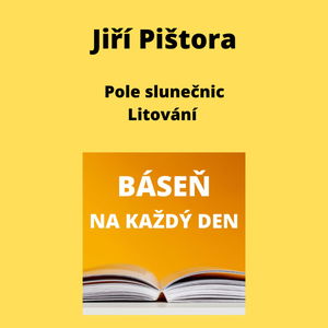 Jiří Pištora - Pole slunečnic + Litování