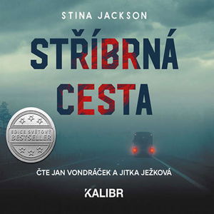 Knižní ochutnávka: Stříbrná cesta (Stina Jackson)