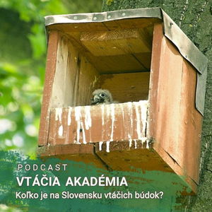 Koľko je na Slovensku vtáčích búdok?