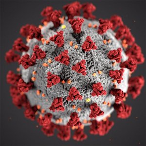 Korona vírus - ako ostať myslou pozitívny a na testy negatívny