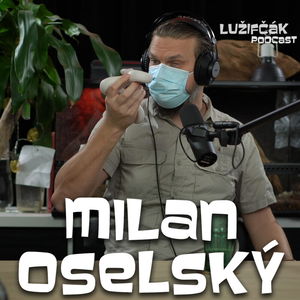 Lužifčák #83 Milan Oselský