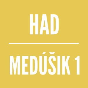 MEDÚŠIK 1 | HAD