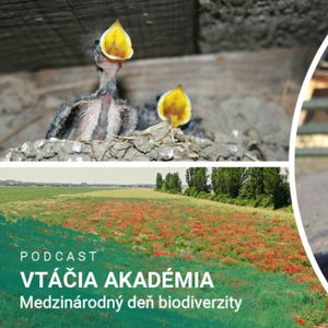 Medzinárodný deň biodiverzity