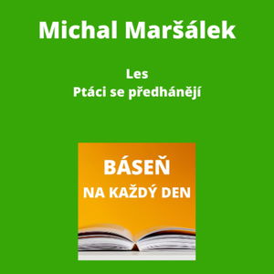 Michal Maršálek - Les + Ptáci se předhánějí