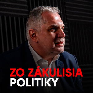 Michelko: Ak by sme položili vládu, voliči by nám to extrémne spočítali [Zo zákulisia politiky]