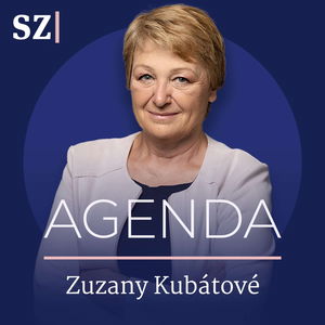 Míl: Plyn bude potřeba i za 25 let. Německá přirážka za jeho transport je výsměch