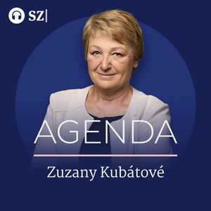 Mirek Topolánek (Teplárenské sdružení): Jádro může být nezávislé na Rusku. A bez tamního plynu přežijeme