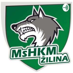 MsHKM Žilina