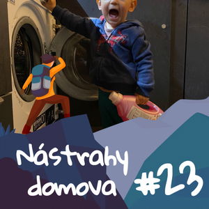 Nástrahy domova