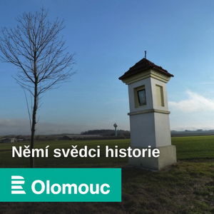 Němí svědci historie