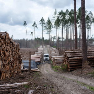 Není to soutěž, v otázkách klimatu prohráváme všichni