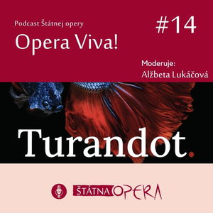 Opera Viva! #14: TURANDOT – stručný sprievodca Pucciniho operou