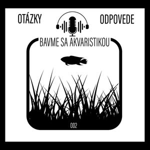 OTÁZKY vs ODPOVEDE