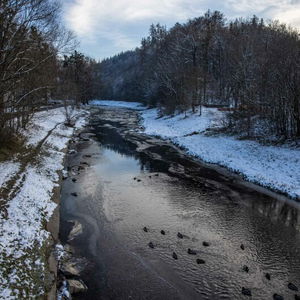 Otrávená řeka. Proč Deza zatajila havárii a úřady mlčí?