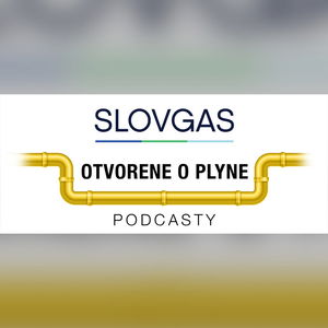 OTVORENE O PLYNE s Vladimírom Zeleňákom